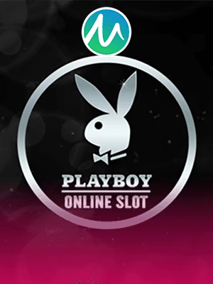 wild joker casino no deposit bonus codes (Casino Online)
